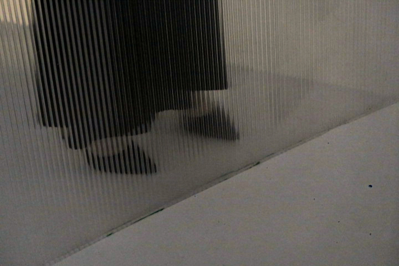 ©. Екатерина Озеркова