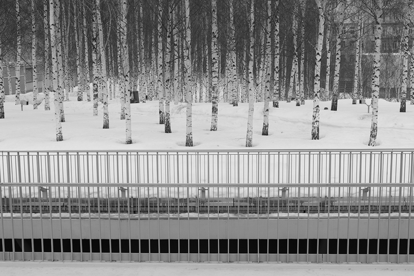 © Дарья Моргун