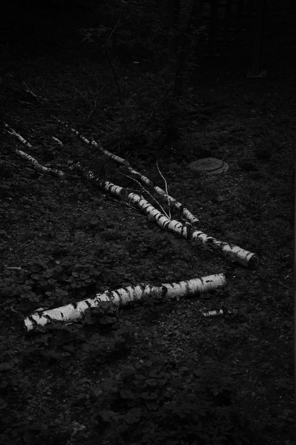 © Иван Гаушкин