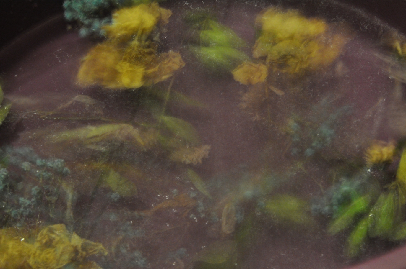 © Вероника Сабирова