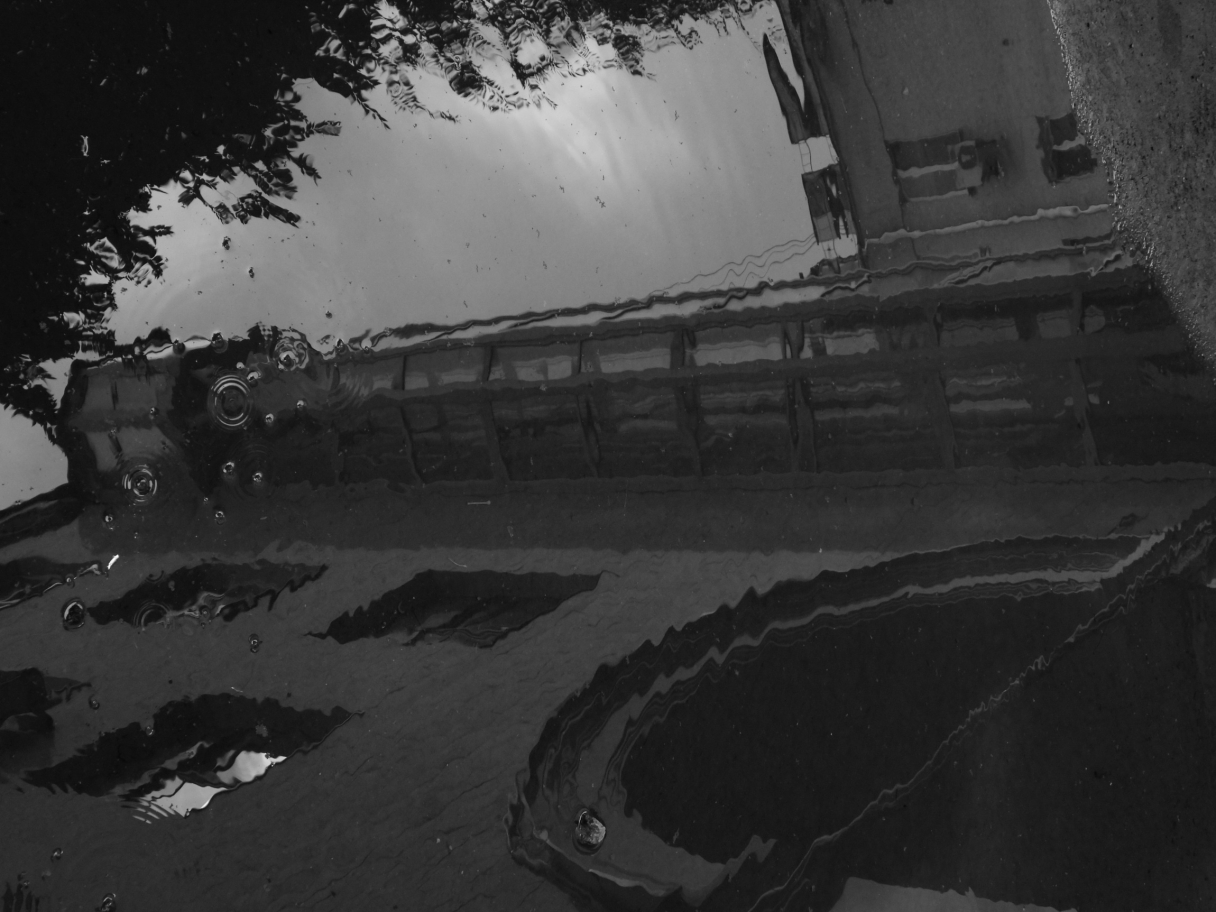 © Марат Гаджиев