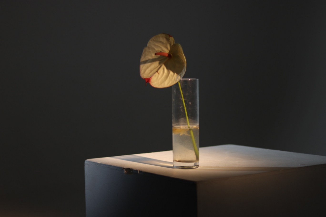 © Маргарита Сухорукова