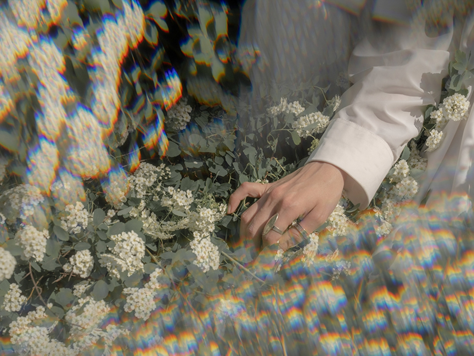 &copy; Ольга Вересока