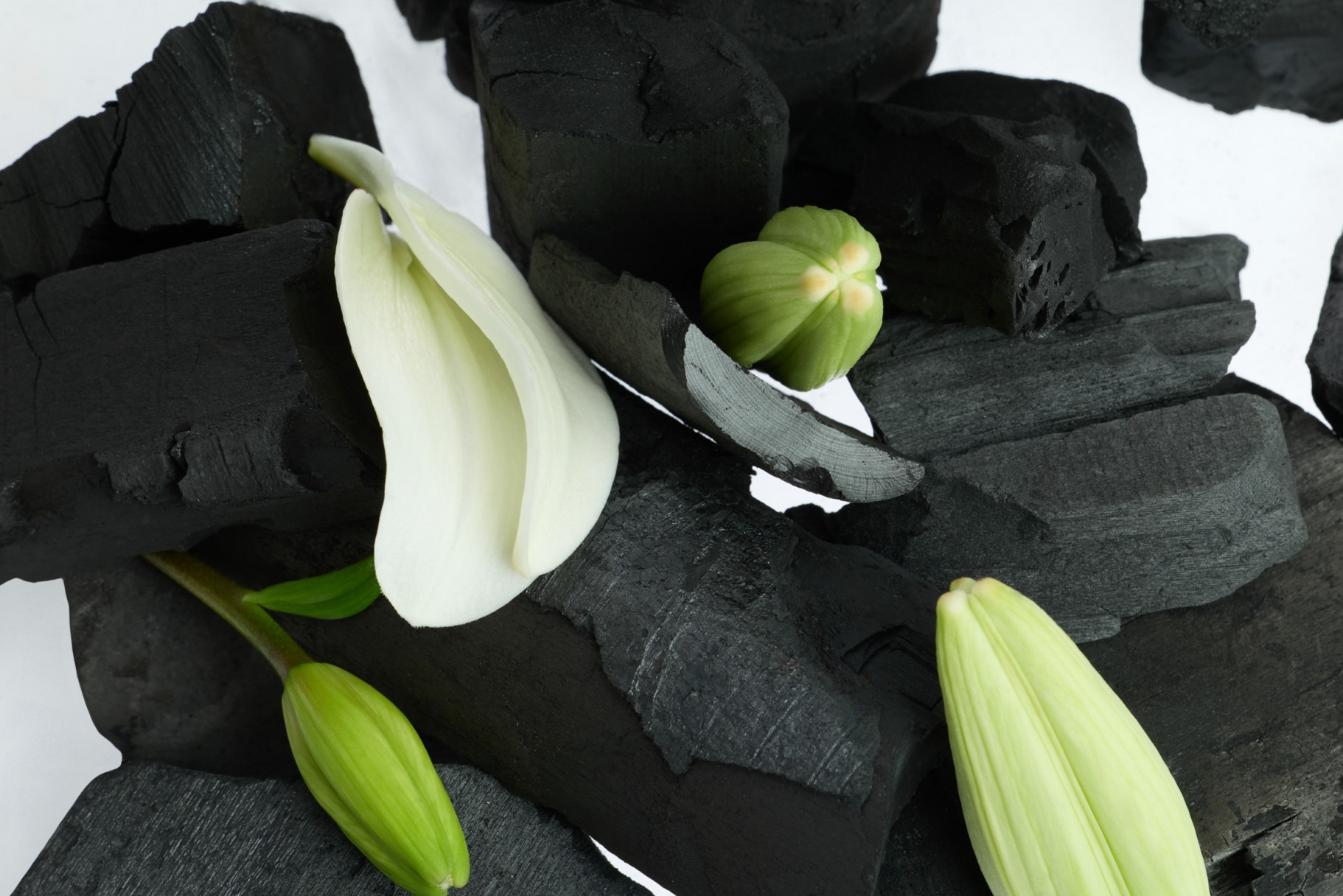 &copy; Андрей Кидалов