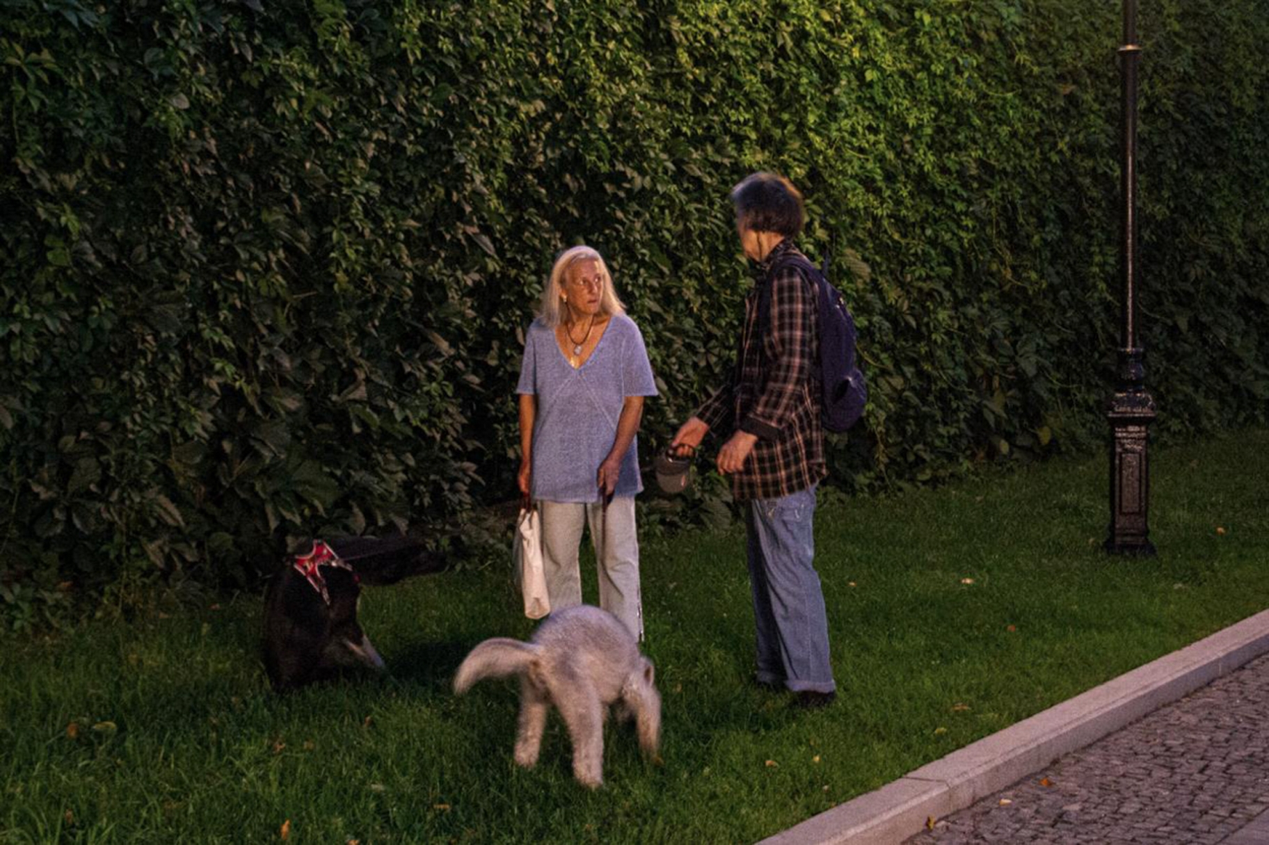 © Лилия Павлова