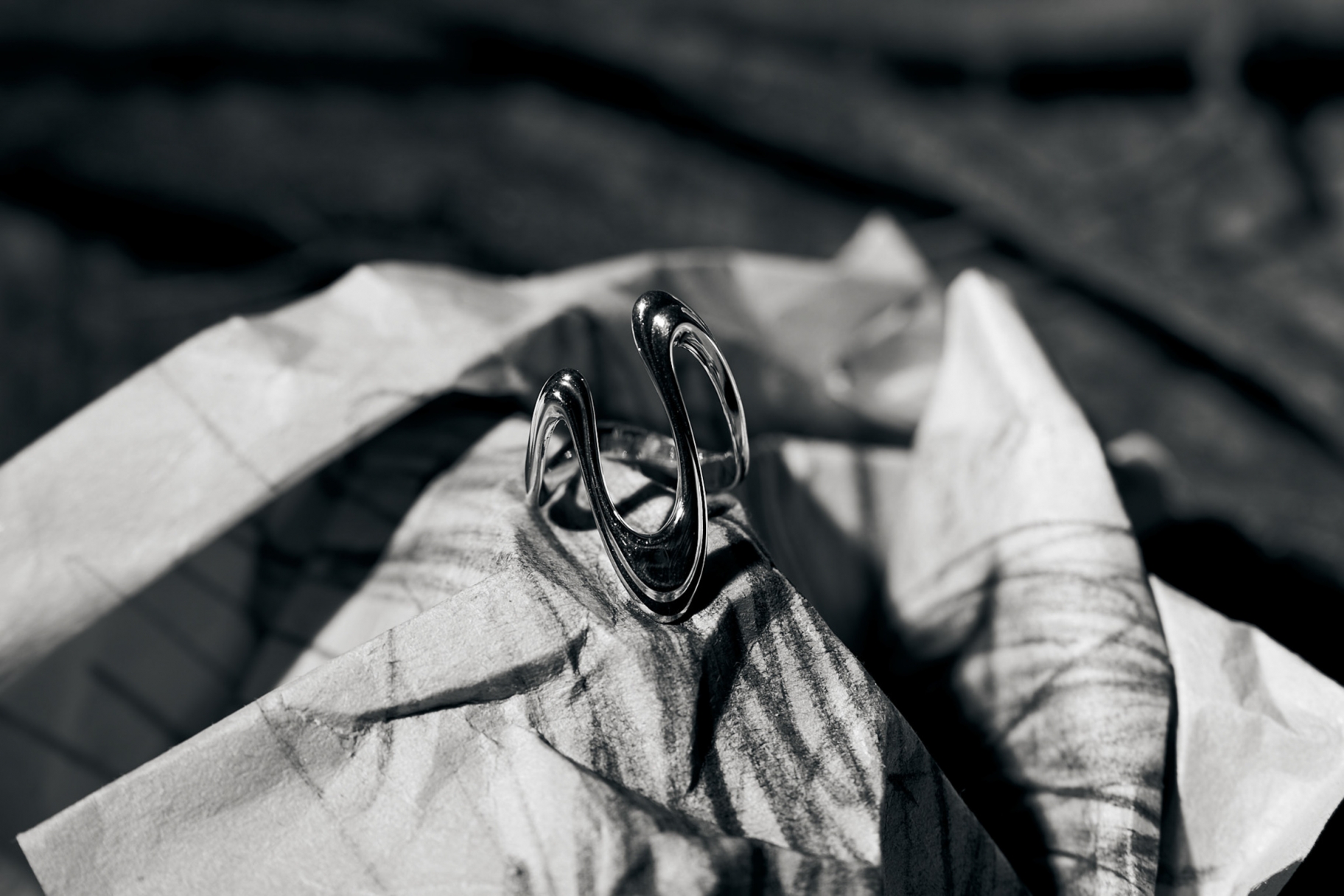 &copy; Ольга Петрова