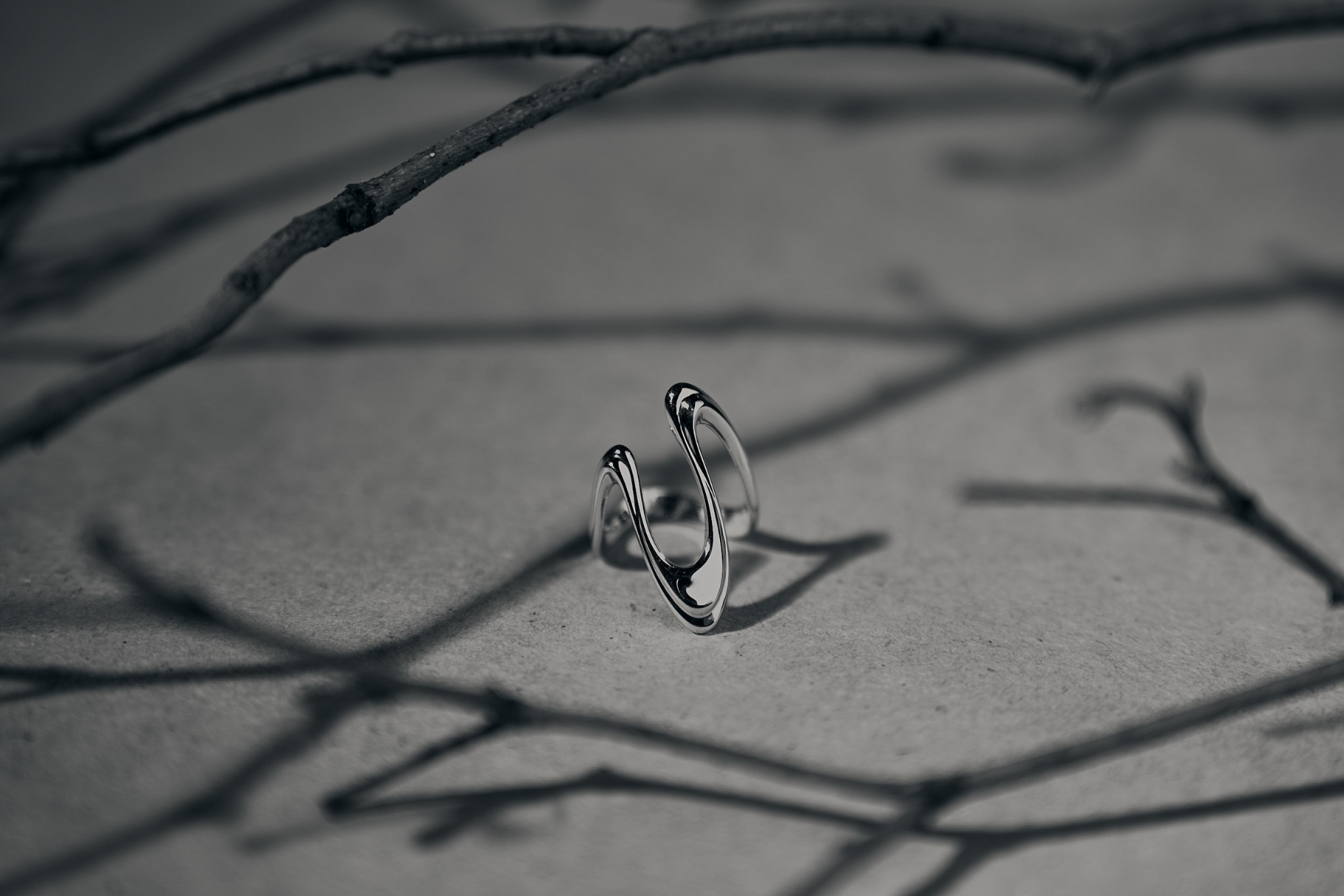 &copy; Ольга Петрова