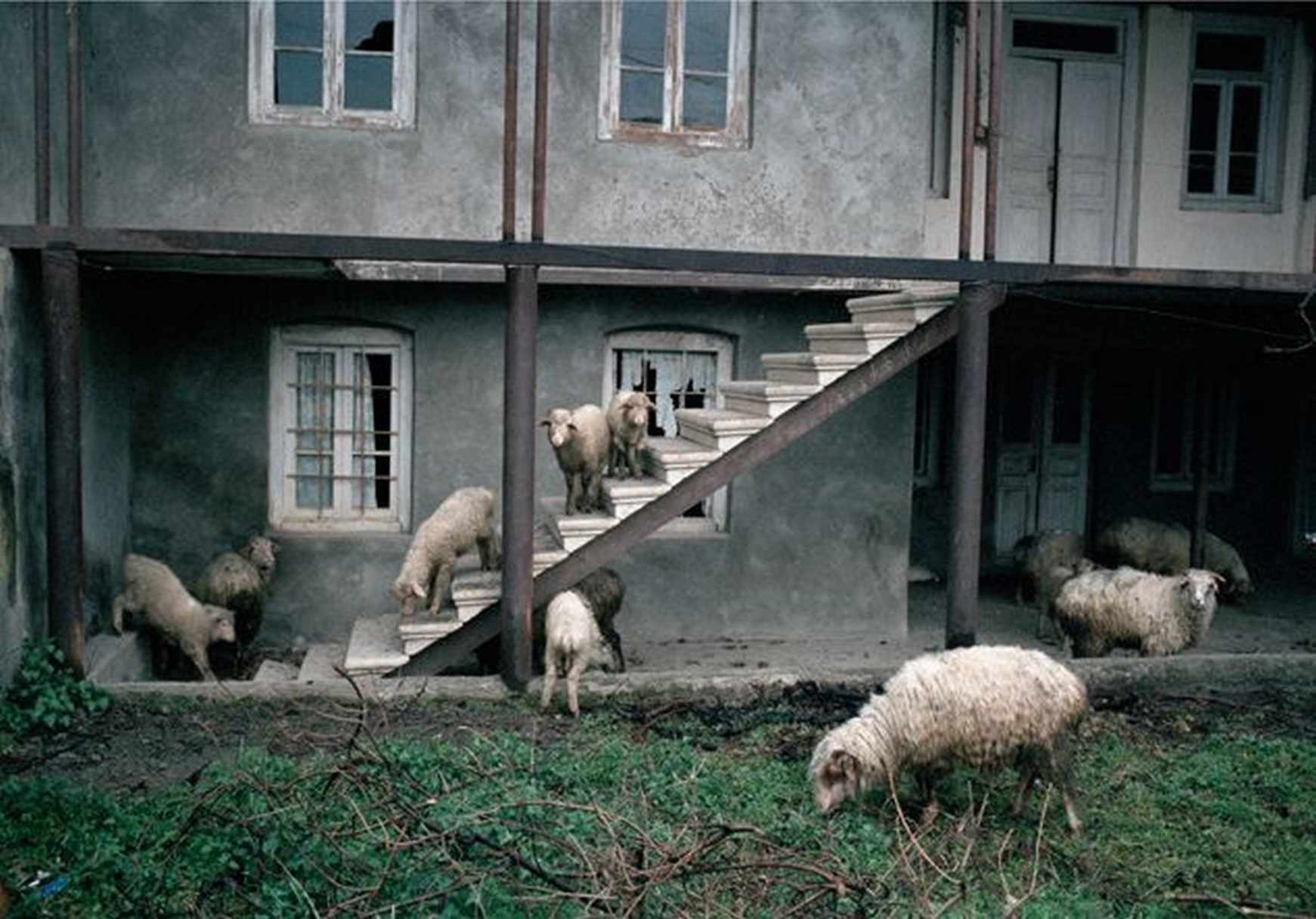 © Дмитрий Гомберг
