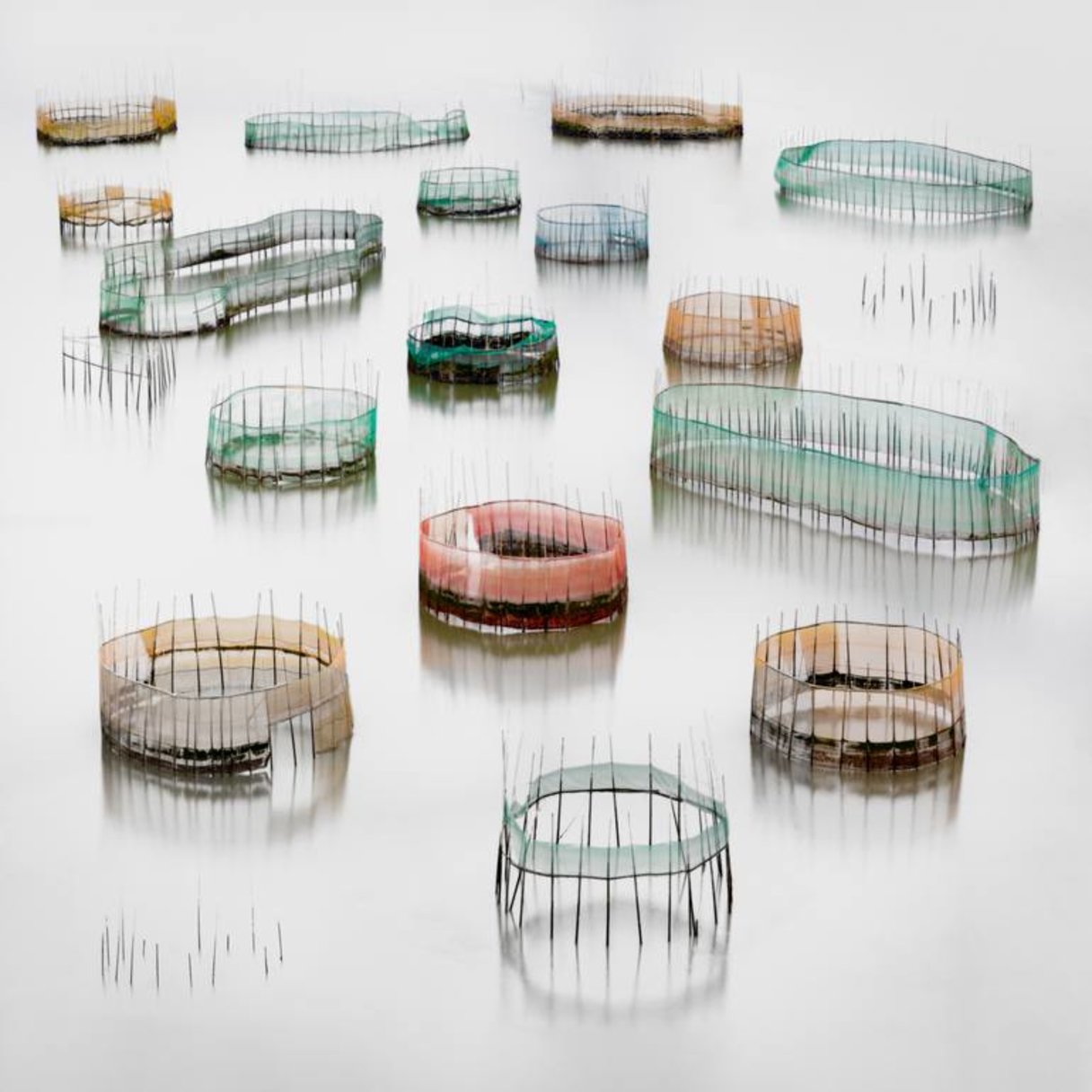 Hilda Champion, Colorful Crab Cages, Annual Photography Awards 2019