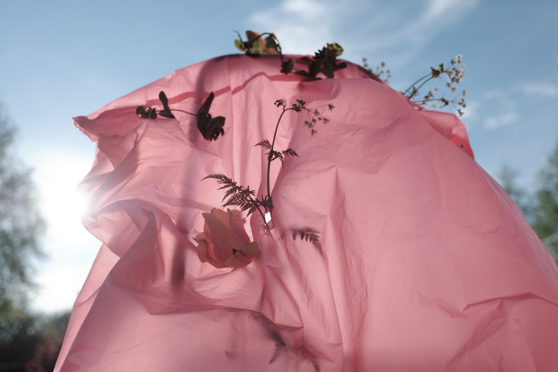 © Евгения Коркунова