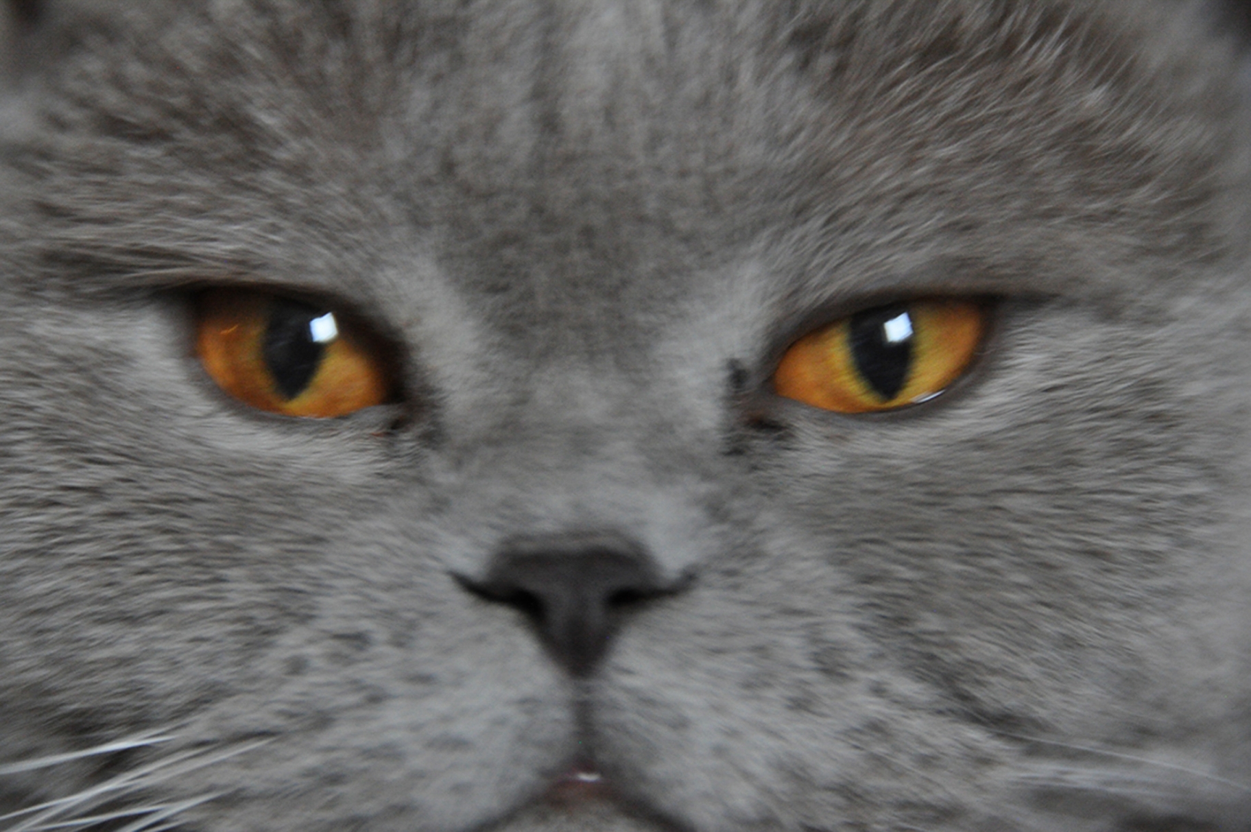 © Вероника Сабирова