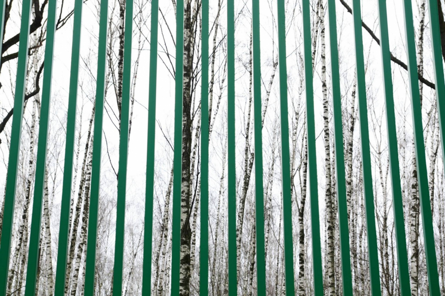 © Рита Григорьева