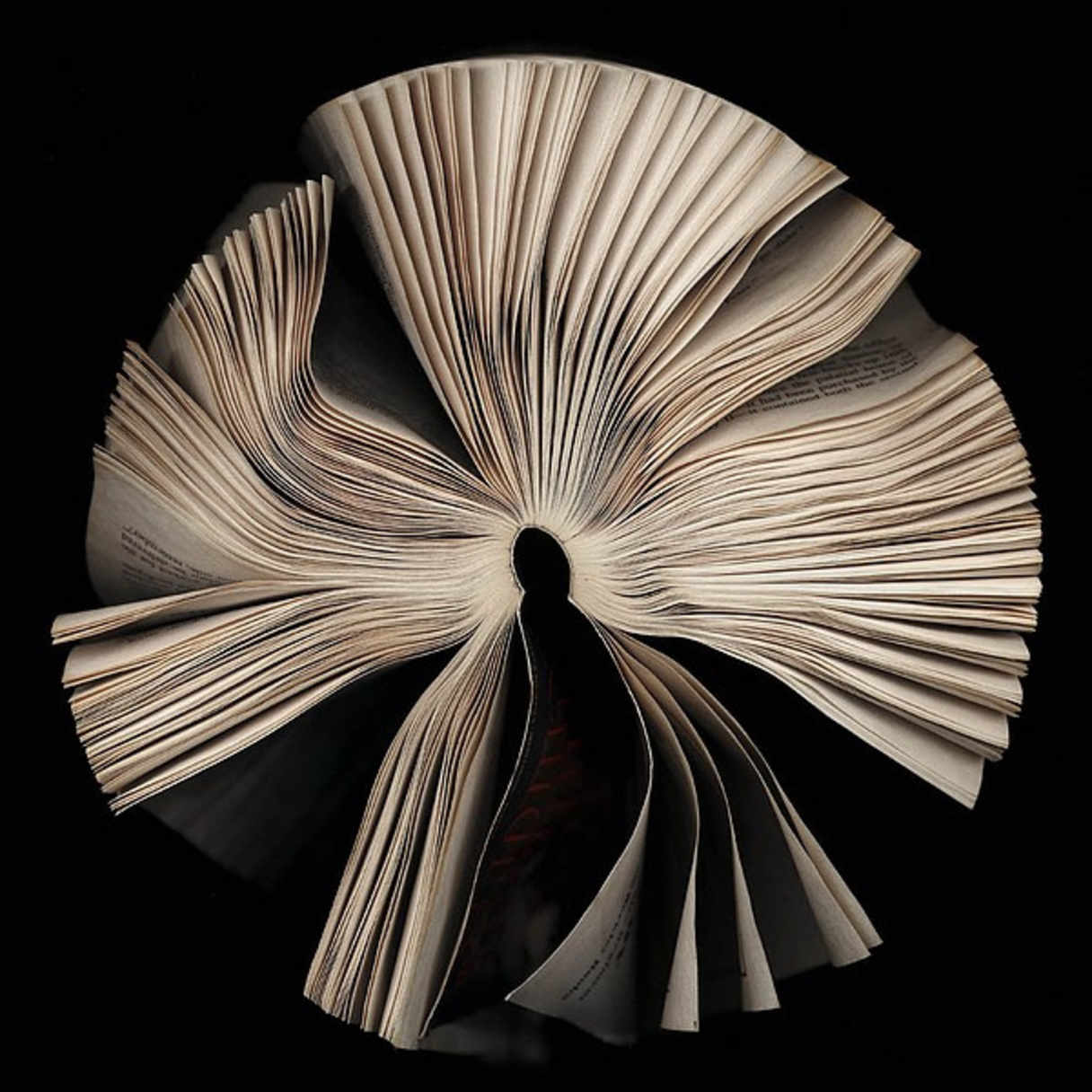 © Cara Barer, Murder Mystery