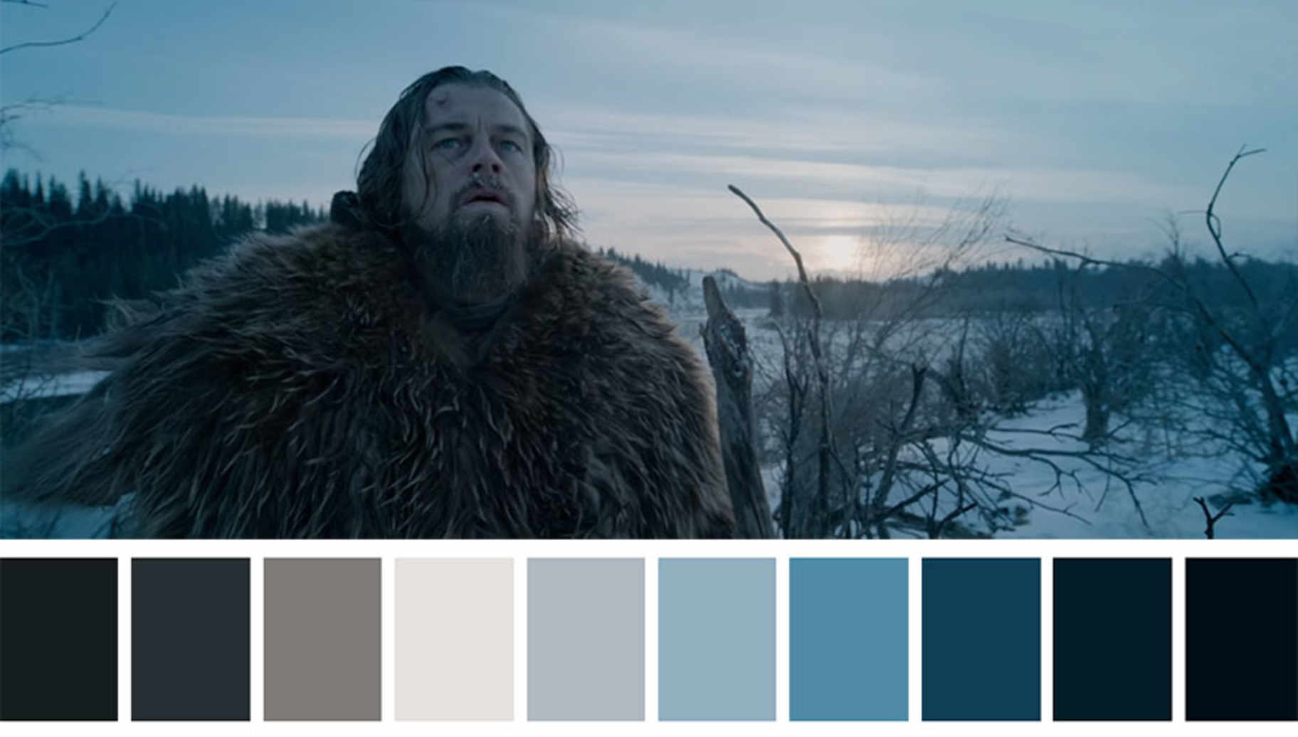 The Revenant (2015) Dir. Alejandro González Iñárritu