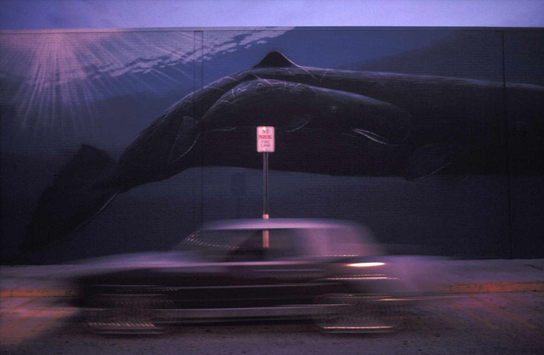 Marathon, Fadiouth. 1991. © Alex Webb Magnum Photos