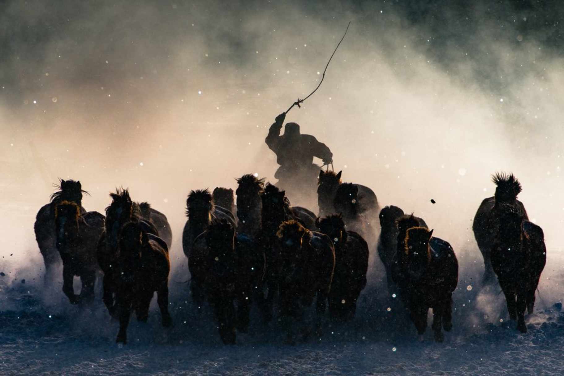 GRAND PRIZE WINNER | Winter Horseman | Photo and caption by Anthony Lau