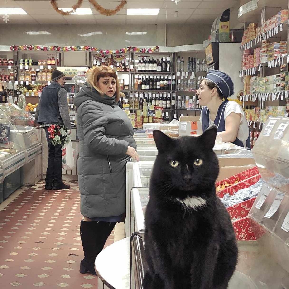 © Дмитрий Марков