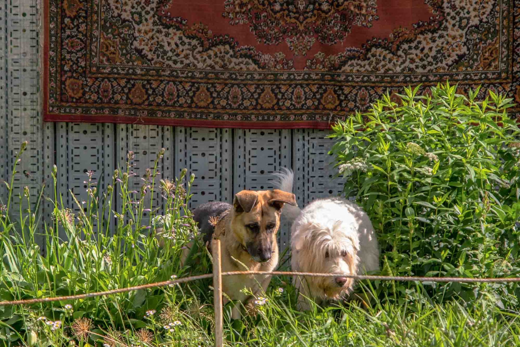 © Русаков Артур