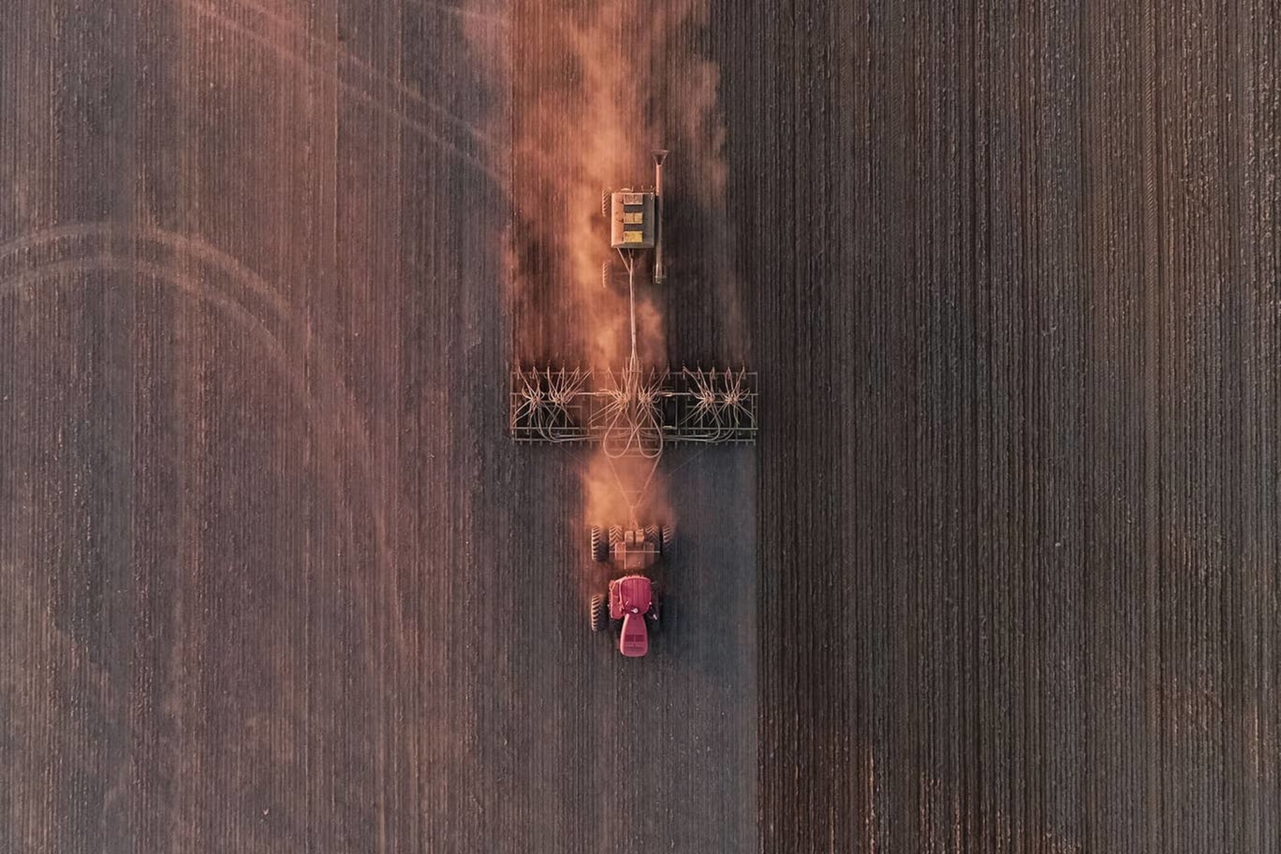 Randall Cliff/Sony World Photography Awards 2020